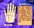 手相面相觀人專集——標(biāo)準(zhǔn)手診圖