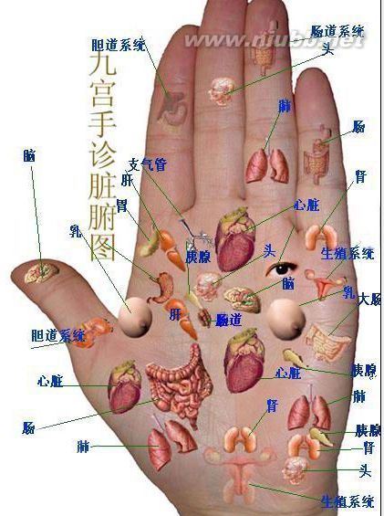 手相面相觀人專集——標(biāo)準(zhǔn)手診圖